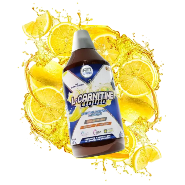 AMERICAN NUTRITION L CARNITINA 1L