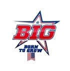 Logo BIG